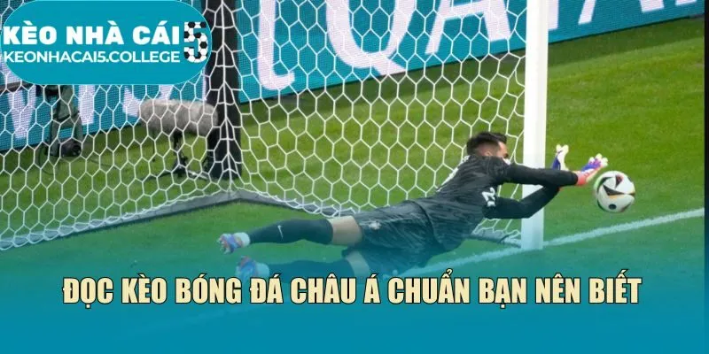 Đọc kèo bóng đá châu Á chuẩn bạn nên biết