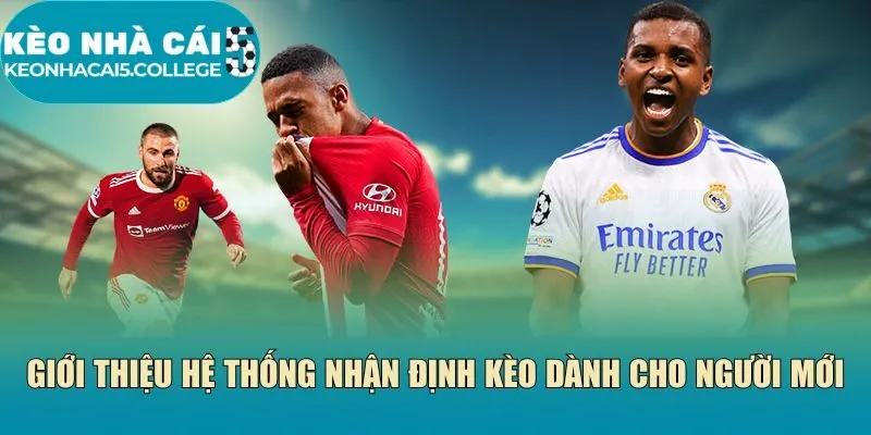 Giới thiệu hệ thống nhận định kèo dành cho người mới