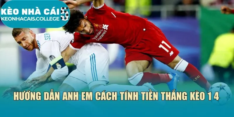 Hướng dẫn anh em cách tính tiền thắng kèo 1 4